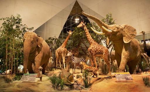 00bcf6cb62589e54c3c1e9895ca2080dfffae1db