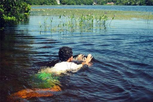 9f94eab339a3ef51a35209c184fcfe66ddda5054