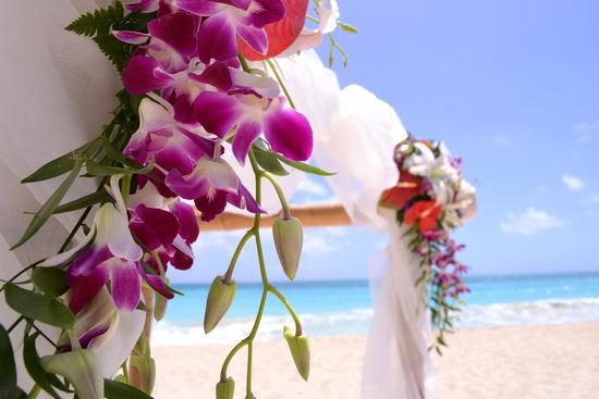 Тестовый снимок Nikon D3100 - 1/500 c, F/9, 18 мм, ISO 200