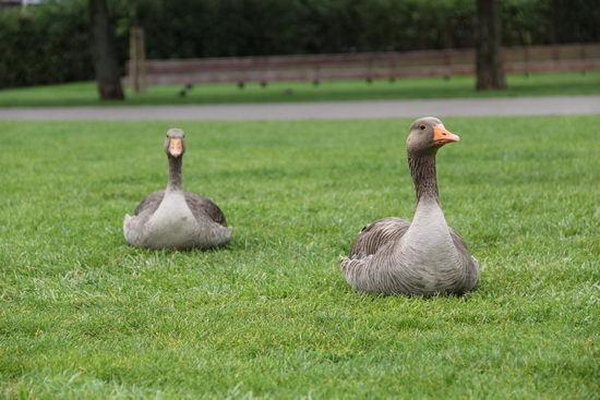Снимок, сделанный Canon EOS 60D - 79 мм, 1/320 c, F/5.6, ISO 100