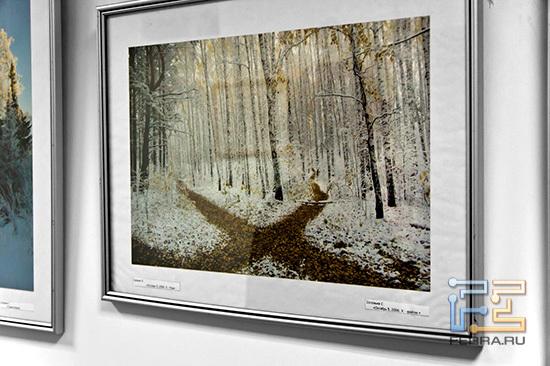 Такие фотографии снимают сотрудники Intel