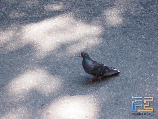 ЭФР 42 мм, f/8,0, 1/160 c, ISO 800