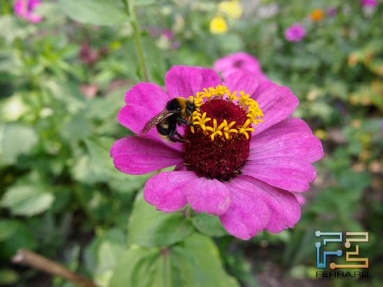 ЭФР 14 мм, f/4,5, 1/125 c, ISO 200