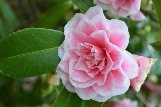 F/8, 1/25 с, ISO 1600, 72 мм