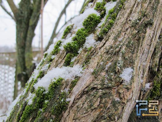 Canon Powershot G12, ISO 160, 6.10 мм, f/4.0, 1/30 с