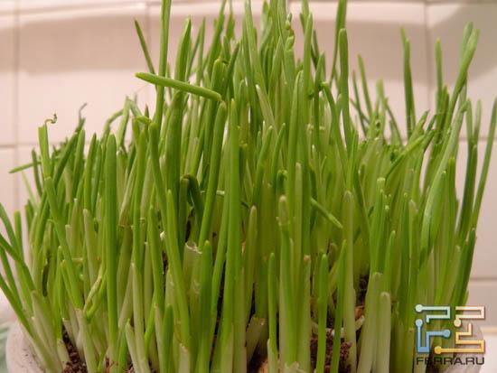 Panasonic Lumix LX5, ISO 400, 5.10 мм, f/5.6, 0.4 с