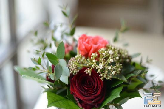 Nikon D800, ISO 800, 50 мм, f/1.8, 1/250 c