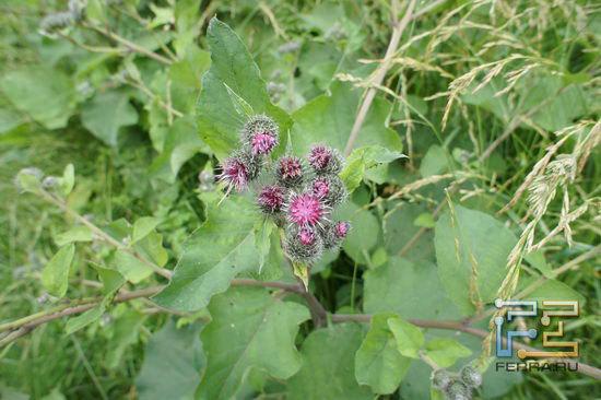 Снимок, сделанный Sony NEX 5 - F/5.6, 1/125 с, ISO 200, 16 мм