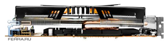 …его старший брат тоже.