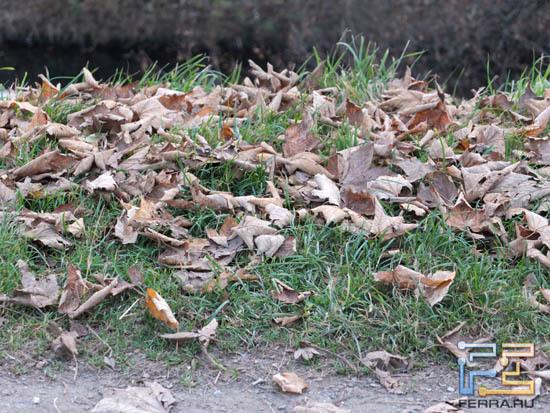 F/2.8, 1/180 c, ISO 400, 112 мм