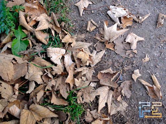 F/2.2, 1/220 c, ISO 400, 28 мм