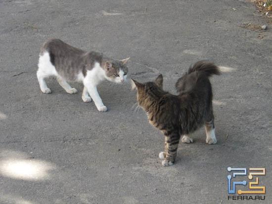 ЭФР 213 мм, f/5,9, 1/200 c, ISO 400