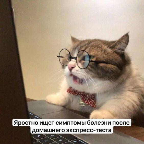 Можно ли сдать все анализы дома?