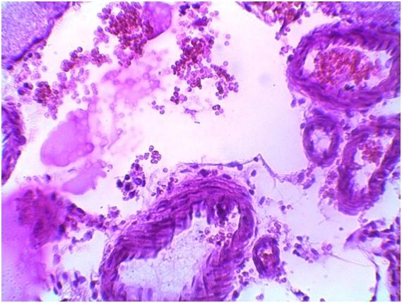 5f0e1d351e8749a41cd36e84e908a20579fc013b