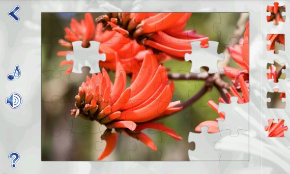 Пазлы - это семейная игра