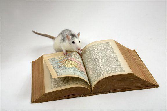 199c695c048760c90ffdf1de0c3848c454a7aa0d