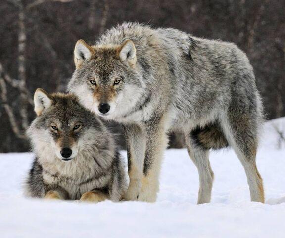 82046c537d74dc2bbc695865f56362937f9225e3