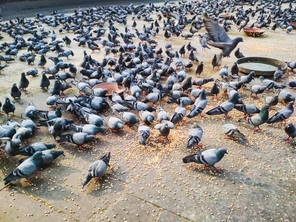 c9cc9b16ea06a47ead88aa736bd65fcd0a1a5947