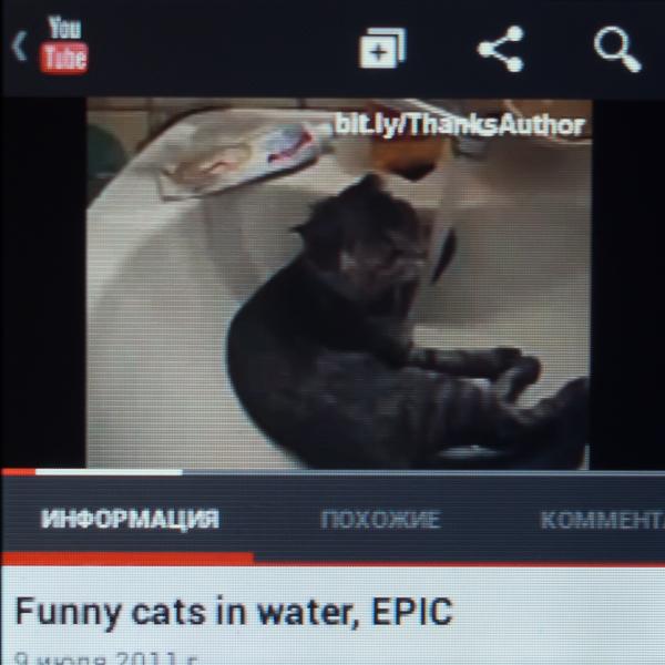 Кошечки на YouTube в iconBIT Callisto 100