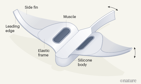 da70875a7759e3285b83798b218660a8065a9cea