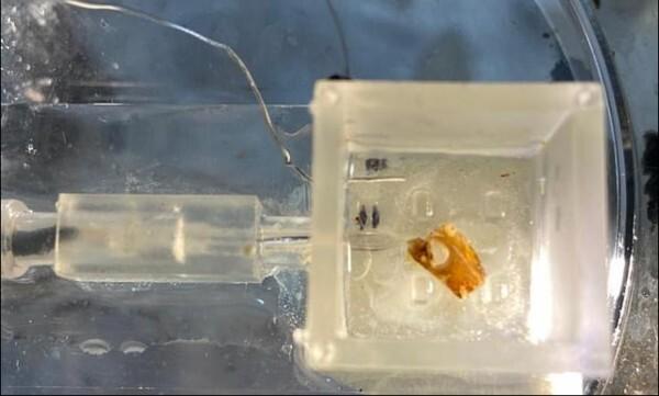 d3ffe2a8eed0b4da74673af5b4b354ef8974edcd