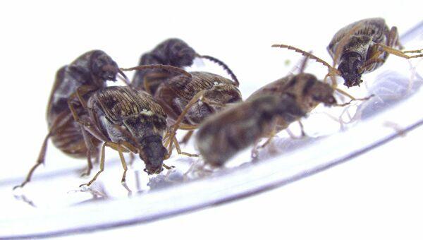 719b76d6b40bccbfe387881a4bdc1c7b989c8390