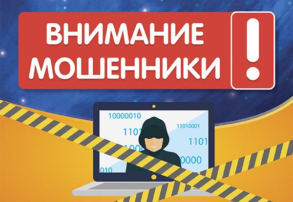 Мошенники начали подделывать сайт магазинов DNS и воровать деньги россиян
