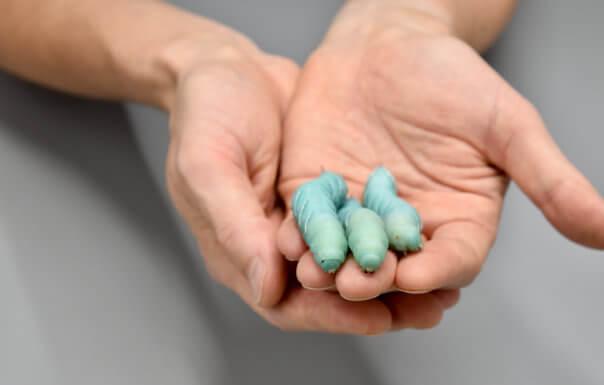 Никаких больше лабораторных крыс: учёные нашли лучшего кандидата для опытов