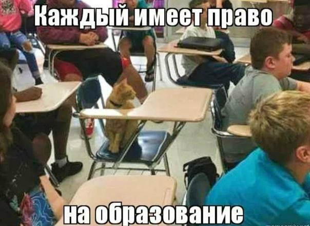 Российские стартапы в помощь образованию: нескучные инструменты для всех