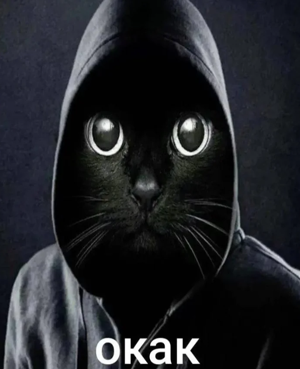 Эйнштейн был неправ. И это открытие физиков из МФТИ спасёт тысячи больных раком