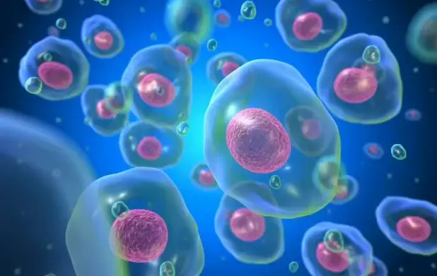 Из уничтоженных бактерий создали искусственную «живую» клетку