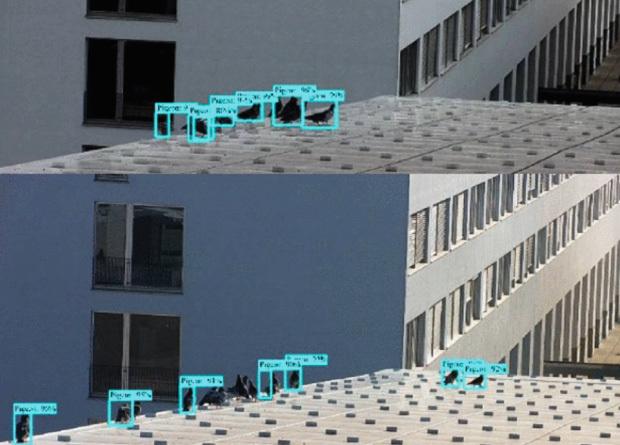 Учёные научились использовать дроны для отпугивания птиц