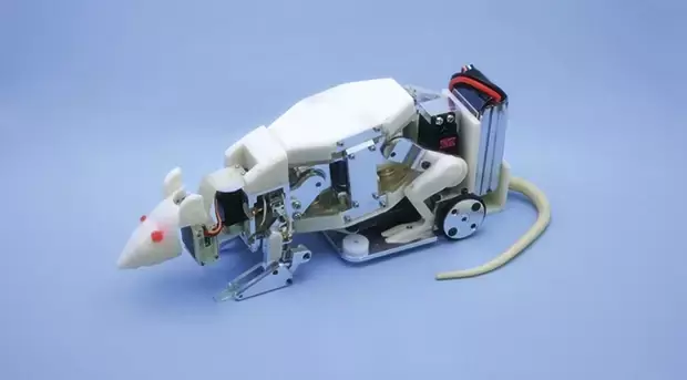 What Animal-Looking Robots Are Used For: Seven Examples