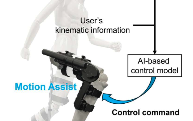 ИИ сделал экзоскелеты эффективнее и универсальнее