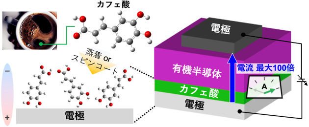 Учёные ускорили работу процессоров при помощи кофе