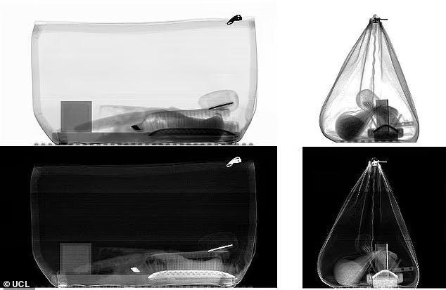 Бомбы, наркотики и даже дикие звери: учёные создали рентгеновскую систему для аэропортов со 100-% точностью распознавания