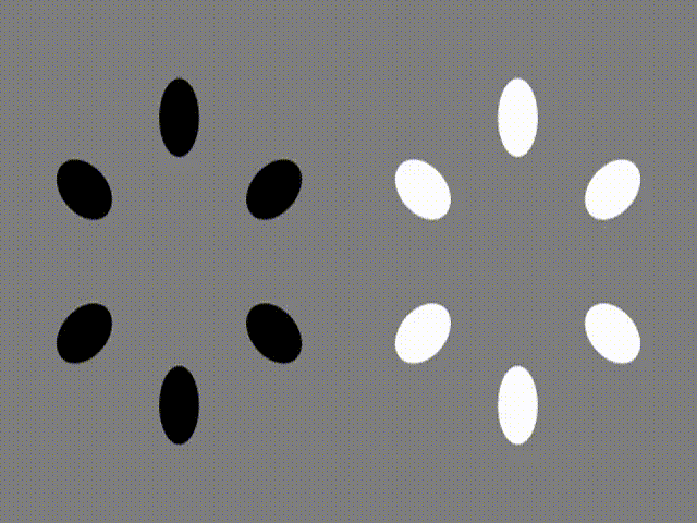 Правое кольцо быстрее левого? В Интернете набирает популярность новая оптическая иллюзия