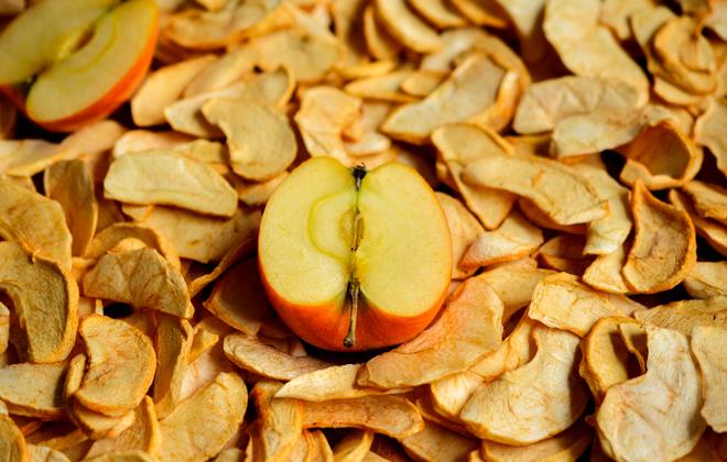 Как выбрать сушилку для фруктов и овощей: 6 важных вопросов 