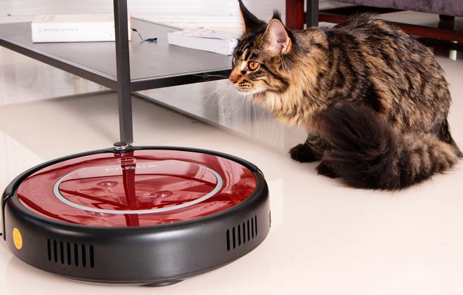 Как ухаживать за роботом-пылесосом: 9 правил, которые мало кто соблюдает