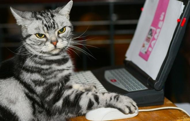 5 жутко устаревших, но почему-то популярных технологий