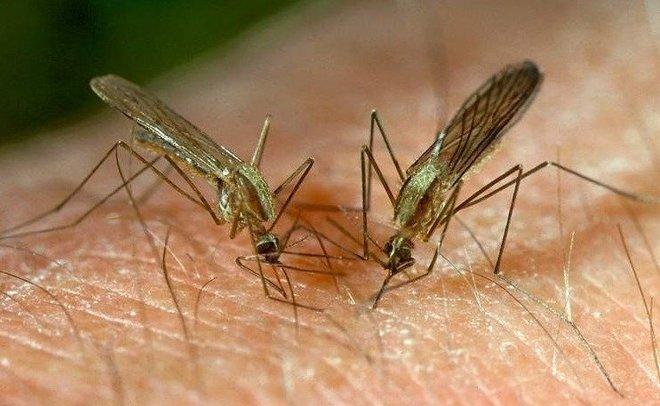 0a6332136d16089d9926f356d801ab492b3ae6b6