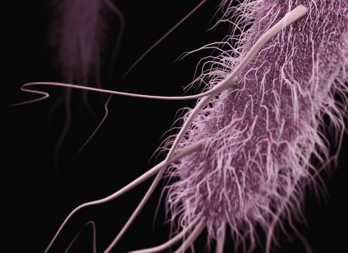 Найдено вещество, которое могло зародить жизнь на Земле