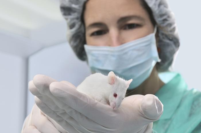 89605b91e1eabcb56b52ce72a63c999b0d4684dd