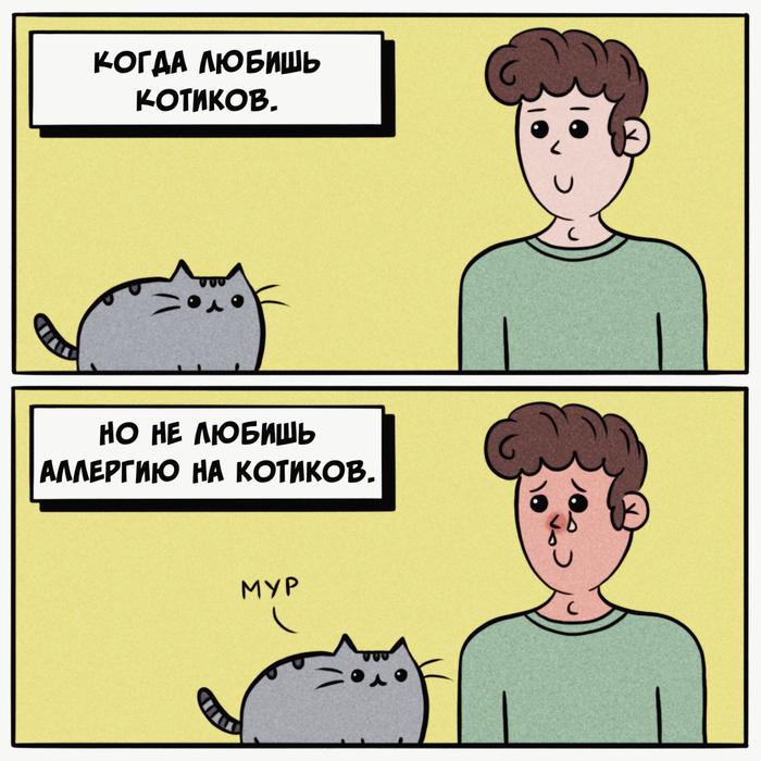 Больше никаких соплей из-за шерсти: в России создали вакцину от аллергии на кошек