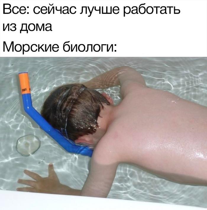 Учёные выяснили, как онлайн-учёба сказывается на здоровье детей