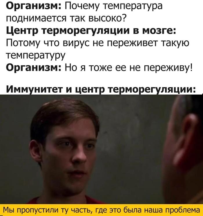 Медицинские материалы нового поколения — что собой представляют? И почему так важно создавать новые материалы для медицины?