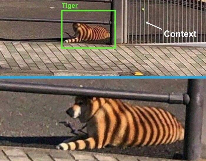 Может хоть научат ИИ нормально определять животных