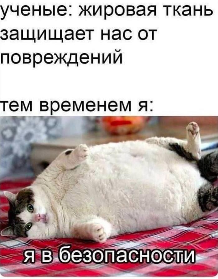 Учёные создали полезный для сердца заменитель вредного пальмового масла