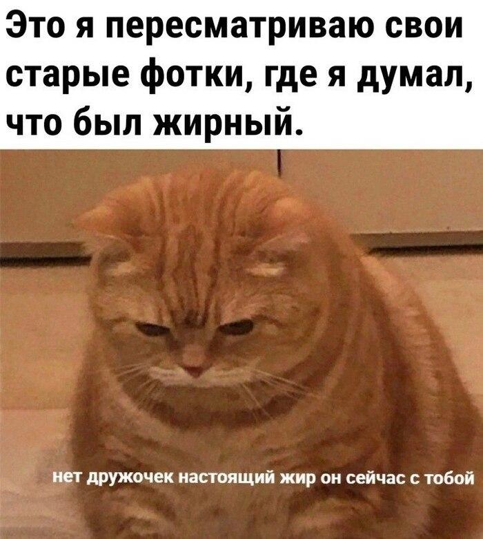 Учёные создали полезный для сердца заменитель вредного пальмового масла