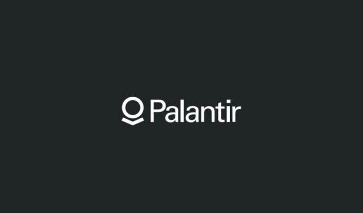 Разработчик ПО Palantir не против «включения» военных преступлений в Конституцию